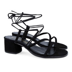 2605 GRECIA