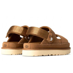Goldenstar Glide 1167399