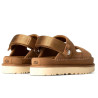 Goldenstar Glide 1167399