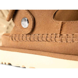 Goldenstar Glide 1167399